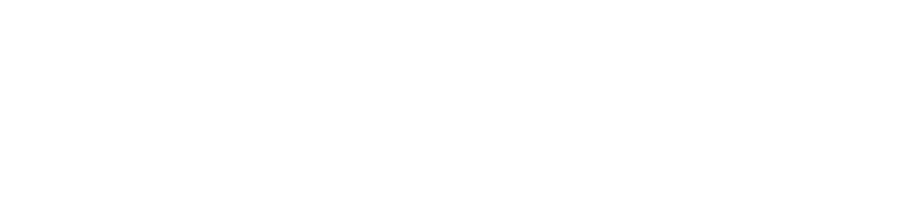 Fake Picture Productions